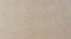 Birke MPX-BB (2224 Besuche) Birke MPX-BB